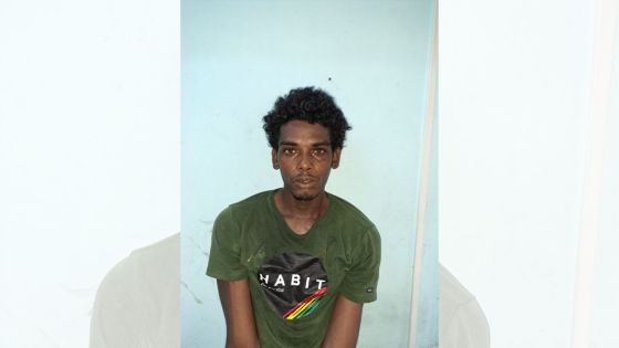 Butin estimé à plus de Rs 800 000 : un présumé voleur en série arrêté