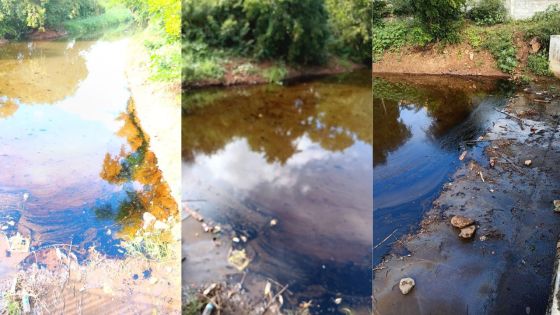 Déversement d’huile lourde à Pointe-aux-Sables : amende de Rs 25 000 à l’usine textile responsable 