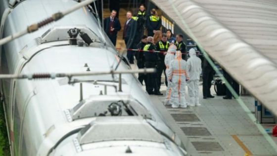 Allemagne : attaque au couteau à la gare de Hambourg, une suspecte arrêtée