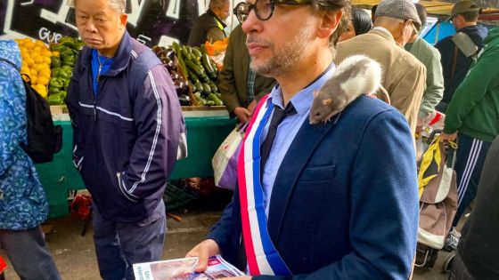 A Paris, les rats trouvent un allié politique inespéré