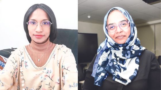 Dengue : Prolifération importante de moustiques dans la région de Port-Louis