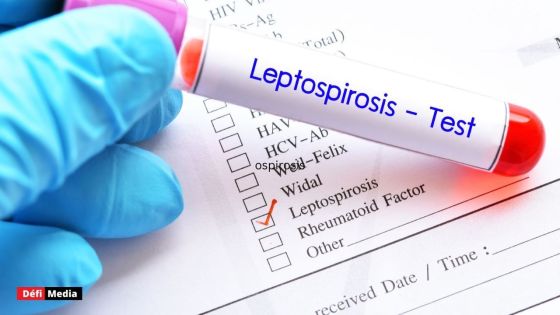 Plan de combat contre la leptospirose 