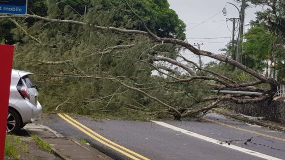 Alerte IV maintenue : ne sortez-pas !  