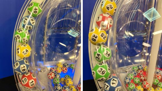 Loto et Loto Plus : pas de grand gagnant ce mercredi 10 décembre