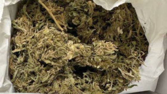 Rapport de la National Human Rights Commission : la création d’une Drug Court réclamée 