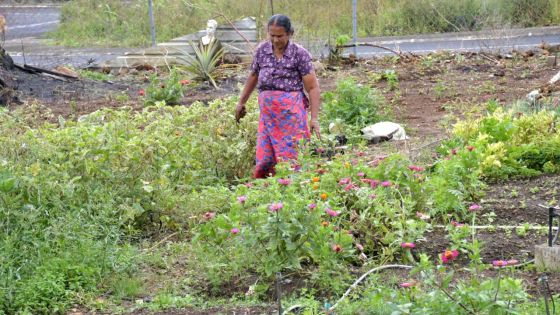 Pluies torrentielles : 118 mm enregistrés à Queen Victoria