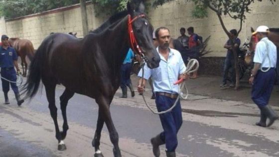Hippisme : La MTCSL interdit à ses employés de travailler pour la journée inaugurale du 5 juin