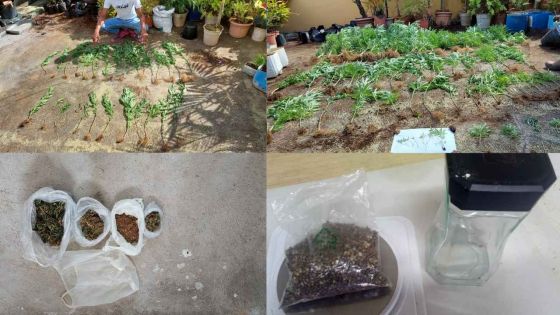 Rs 1,1 million de gandia sur un chauffeur de taxi à Cap-Malheureux