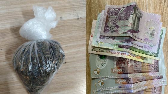 Opération de l’Adsu de Rose-Belle - Vente de cannabis : deux présumés trafiquants arrêtés 
