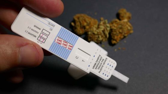 Positifs à l’alcool et aux drogues : pas moins de 33 chauffeurs d'autobus épinglés depuis le début de cette année