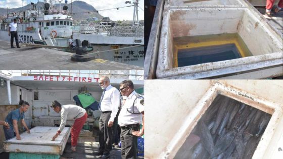[En images] Du diesel dans les cales à poisson à bord d’un bateau de pêche taïwanais  