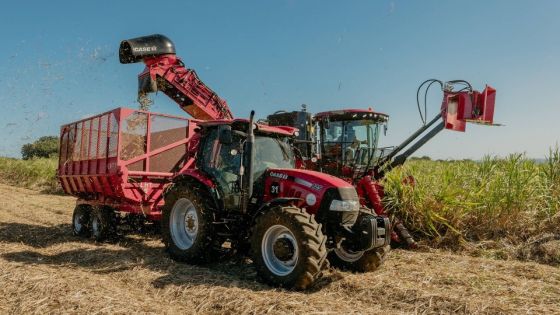 Coup d’envoi de la récolte de canne à sucre pour 2024 ce mercredi