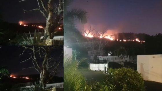 Incendie sur la Montagne des Signaux