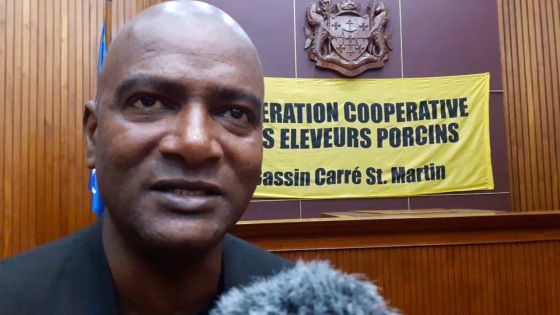 Les éleveurs porcins déplorent le «laxisme» des autorités 