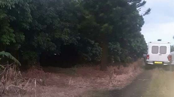 Le corps d'une femme découvert dans un verger du Sud