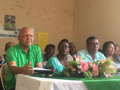 Election partielle au no 18 : les Verts fraternels aligneront une candidate 