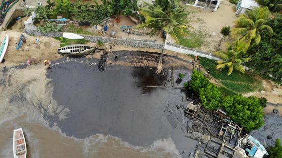 Marée noire : Vieux-Grand-Port meurtri, images d'en haut