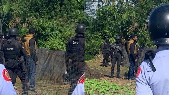 Vimen Leaks : reconstitution des faits de Vimen Sabapati à Phoenix 