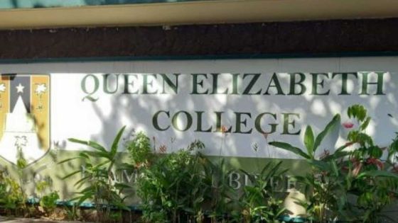 Lauréats additionnels de la cuvée 2021 : Le QEC et le MGI Moka ex-aequo