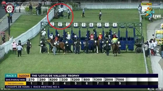 Hippisme : Special Force se blesse avant la 3e course