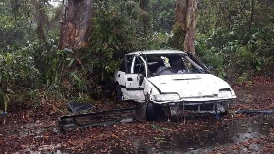 Vieux-Grand-Port : une voiture coincée entre deux arbres après une sortie de route