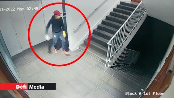 Vol dans un magasin d’électroménagers : un deuxième suspect arrêté