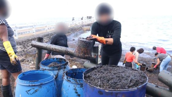 Volontaires dans la région sinistrée du Wakashio : la branche locale des Nations unies plaide pour plus d’équipements de protection