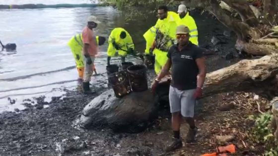 Fuite d'huile du Wakashio : l’aide des volontaires sollicitée à Petit-Sable
