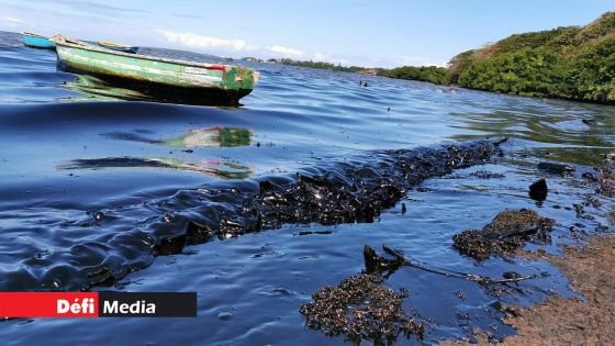 MV Wakashio : indemnité complémentaire réclamée à l'assureur pour les pécheurs