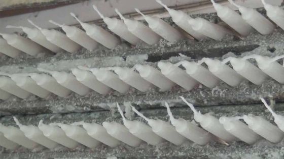 Dove Candles: 30 ans de fabrication de bougies