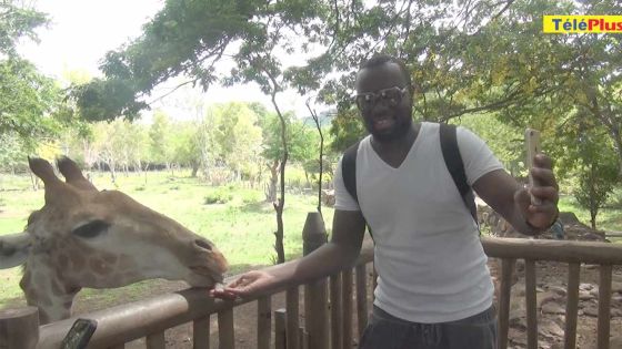 Maître Gims à Maurice : Je n'ai jamais touché un lion