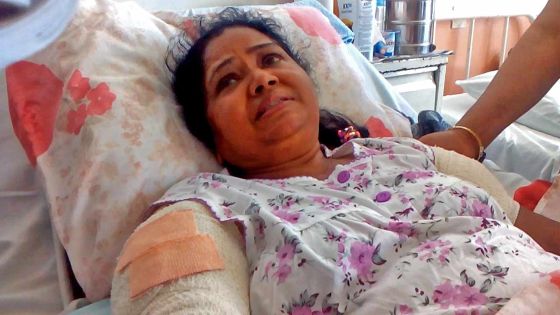 Attaquées par des chiens : 3 victimes en un mois à Bon-Accueil