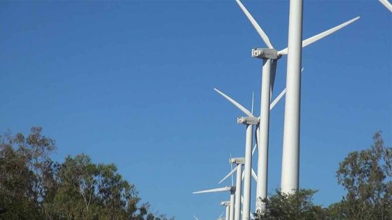Inauguration de la première centrale éolienne à Bras D'Eau 