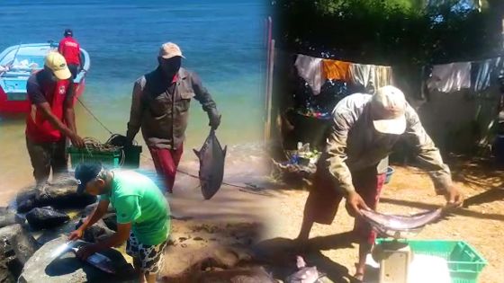 L’homme et la mer : les deux ne font pas la paire par temps de confinement, selon Sooryadeo