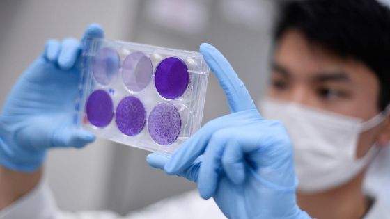 Coronavirus : le monde franchit le cap des 10 millions de contaminés 
