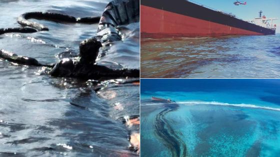 Wakashio : fuite d'huile, confirme le ministère de l'Environnement