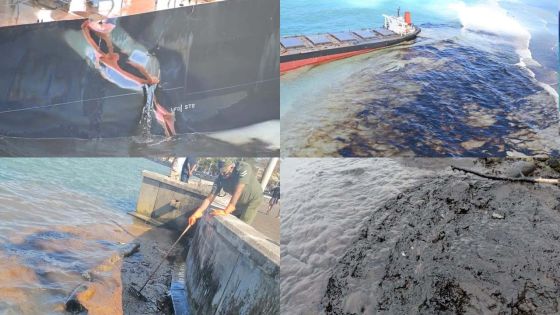 [En images] Fuite d'huile du Wakashio : un bien triste 6 août