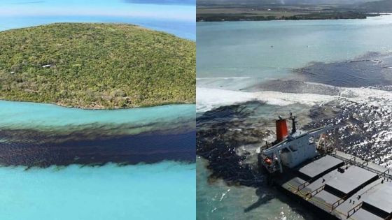 Fuite d'huile du Wakashio : triste spectacle autour de l'Ile aux Aigrettes
