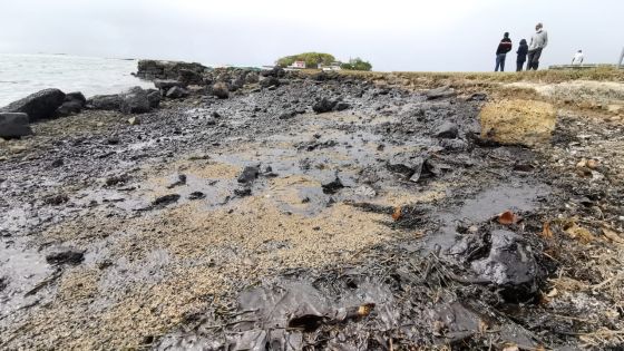 [En images] Catastrophe écologique : scènes de désolation au Mahébourg Waterfront   