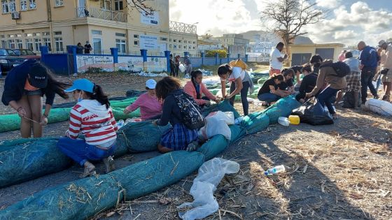[En images] Marée noire : la mobilisation citoyenne pour sauver nos lagons ne faiblit pas
