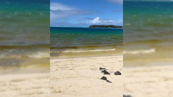 Des micro-algues observées dans le lagon de Blue-Bay