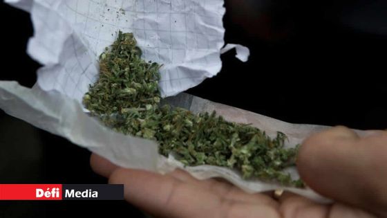 Réseau dans l'Ouest : frère et sœur coffrés pour trafic de drogue