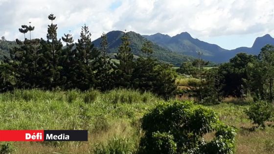 Découverte macabre à Mare-Chicose : Cassy Kanchan mort de causes naturelles, selon l'autopsie 