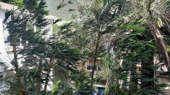 Météo : des rafales de 83 km/h à Port-Louis