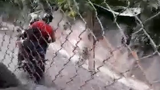 Vallée-Pitot : des habitants sortent de la zone rouge en catimini