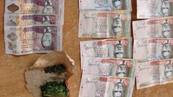 Le chauffeur de van «marron» arrêté pour trafic de cannabis 