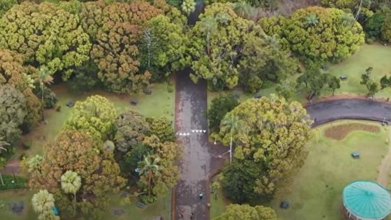 Curepipe : le jardin botanique accessible à pied uniquement