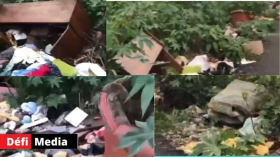 Pollution : une partie de Blue Lane, Rose-Hill, transformée en décharge illégale