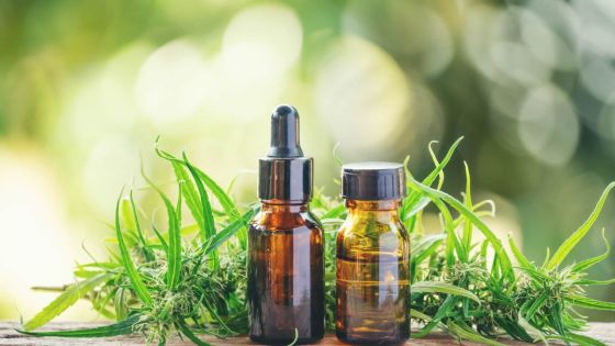 Dangerous Drugs Amendment Bill : réactions de deux patients