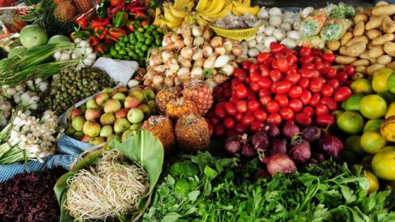 Sécurité alimentaire : des pistes à explorer pour atteindre l’autosuffisance